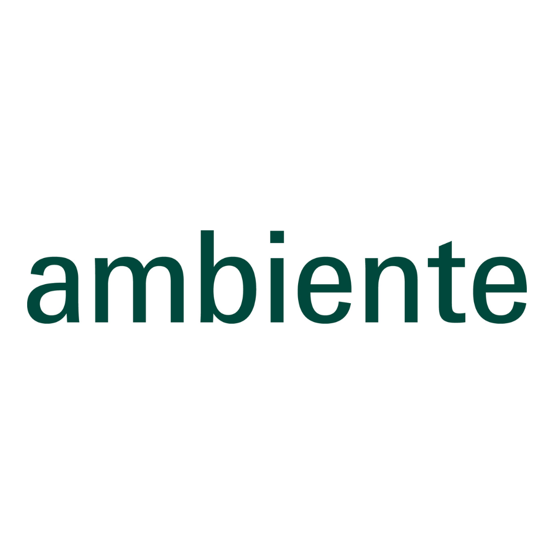 The word 'ambiente' in dark green lowercase serif text centered on a plain white background.